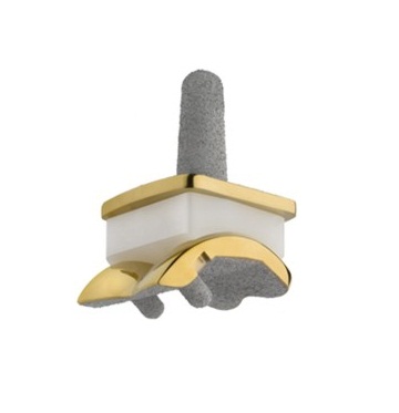 Zenith Total Ankle Replacment 